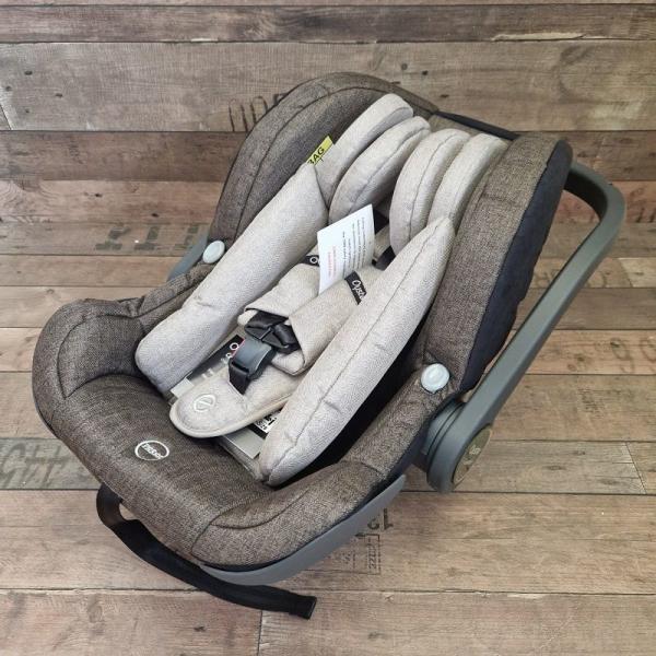 Oyster carapace cheap