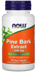 NOW Pine Bark Extract with Green Tea, 240 mg, Now Foods, 90 capsule