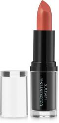 FM Group Ruj de buze clasic - Federico Mahora Colour Intense Lipstick Plum Chocolate