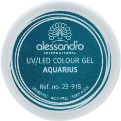 Alessandro International Gel de unghii - Alessandro International Colour Gel 158 - Blackberry