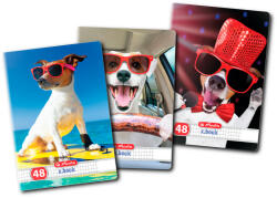Herlitz Set 10 caiete Herlitz A5, 48 file, 70 g/mp, matematica, colturi rotunjite, Motiv cool dog (9480650-10)