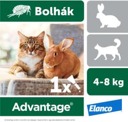 Elanco Advantage rácsepegtetõ oldat nagytestű macskáknak és nyulaknak A. U. V. (0, 8 ml)