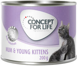 Concept for Life 6x200g Concept for Life Mum & Young Kittens Mousse nedves konzerv macskatáp kiscicáknak