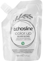 Echosline Mască pentru păr tonifiantă - Echosline Color Up Colouring Conditioning Mask Icy Glam