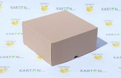 Szidibox Karton Csomagoló doboz, önzáró, postai kartondoboz 250x240x110mm barna (SZID-00465)