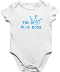 The real boss fiú baby body (the_real_boss_fiu_baby_body)