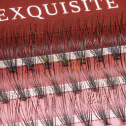 Splendor Gene false smocuri Exquisite Intense 20D Silk Lashes - 60 buc marimea L (EXQINTL)