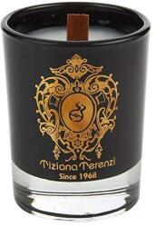 Tiziana Terenzi Capri Fig - Lumânare parfumată 170 g