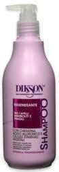 DIKSON Șampon cu cheratină pentru părul fragil - Dikson Professional Treatments Shampoo 500 ml