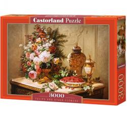 Ungaria Puzzle 3000 Pcs - Castorland (300006) Puzzle