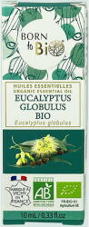 Born To Bio Ulei esential de eucalipt globus/eucalyptus globulus bio 10 ml