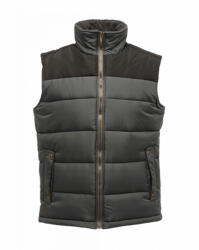 Regatta RETRA806 ALTOONA - INSULATED BODYWARMER (retra806sg/bl-xs) - polokozpont