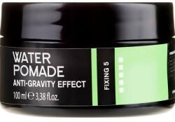 Niamh Hairconcept Pomadă de păr - Niamh Hairconcept Dandy Anti-Gravity Effect Water Pomade 100 ml