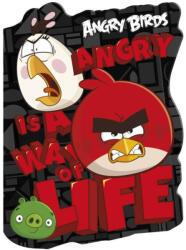 DERFORM Angry Birds notesz A/6, többféle minta