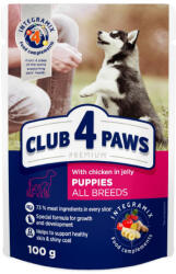 CLUB 4 PAWS Hrana umeda catei (puppies) - Gaina in jeleu, set 24 100g