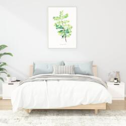 vidaXL Noptiere, 2 buc. , alb, 40x39x40 cm (811197)