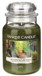 Yankee Candle Lumânare parfumată în borcan Autumn Nature Walk - Yankee Candle Autumn Nature Walk 411 g