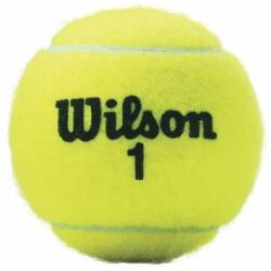 Wilson Mingi tenis de camp (3 buc) Wilson Championship (WRT100101)