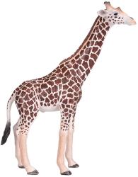 Mojo Figurina Mojo Wildlife - Girafa masculina (381008) Figurina