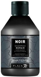 Black Professional Șampon cu suc de cactus și pere - Black Professional Line Noir Repair Prickly Pear Juice Shampoo 300 ml