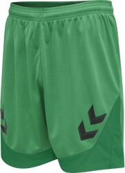 Hummel LEAD POLY SHORTS Rövidnadrág 207395-6235 Méret S