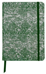 Clairefontaine Notebook coperta moale piele, A5, 144 pagini, Clairefontaine Celeste, Verde Silv (CAI248)