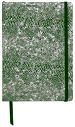 Clairefontaine Notebook coperta tare piele, A5, 144 pagini, Clairefontaine Celeste, Verde Silv (CAI249)