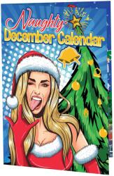 TOY JOY Calendar Naughty December