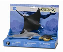 CollectA Set 3 figurine Viata marina - Collecta (COL89279LPP) - ookee