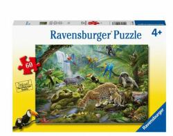 Ravensburger Puzzle Animale In Padurea Tropicala, 60 Piese (rvspc05166) - ookee