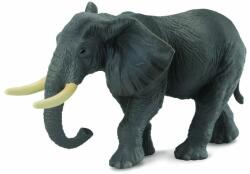 CollectA Elefant african - Collecta (COL88025XL) Figurina