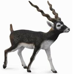 CollectA Figurina pictata manual antilopa blackbuck (COL88638L) - bravoshop Figurina