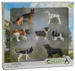 CollectA Set 7 figurine Catelusi - Collecta (COL89820WB) - ookee Figurina