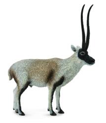 CollectA Figurina gazela chiru l collecta (COL88721L) - bravoshop