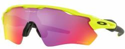 Oakley Radar EV Path OO9208-D0