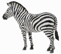 CollectA Figurina Zebra Collecta, 12.4 x 9.3 cm, 3 ani+ (COL88830L)