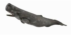 CollectA Figurina Balena Casalot Collecta, 24 cm, 3 ani+ (COL88835XL)