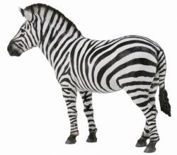 CollectA Zebra Collecta (AAD.COL88830L) Figurina