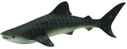 CollectA Balena rechin - Collecta (COL88453XL) - bekid Figurina