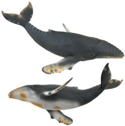 CollectA Balena cu cocoasa - Collecta (COL88347XL) - bekid