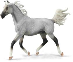 CollectA Figurina pictata manual armasar Half Arabian Dappled Gri (COL88959Deluxe) - bekid Figurina