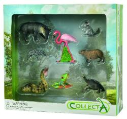 CollectA Set de 8 figurine pictate manual Wild Life (COL84098WB) - bekid