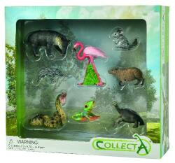 CollectA Set de 8 figurine pictate manual Wild Life (COL84098WB) - bekid Figurina