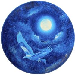 Aerobie Vulturul de la miezul nopții - pictură în ulei pe frisbee