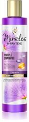 Pantene Pro-V Miracles Strength & Anti-Brassiness sampon violet 225 ml