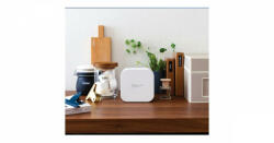 Brother PTP300BT (PTP300BTRE1)