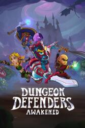 Chromatic Games Dungeon Defenders Awakened (PC)