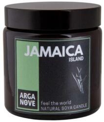Arganove Lumânare naturală din soia Jamaica - Arganove Jamaica Natural Soya Candle 100 ml