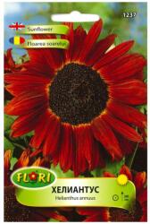 Florian Ltd Seminte de floarea soarelui rosie, 2 grame FLORIAN (HCTG00250)