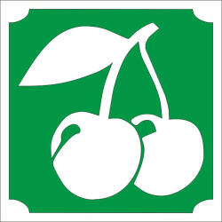 Body Deco 5x5 cm-es Csillám tetoválás sablon - Cseresznye 458 - mkkreativ